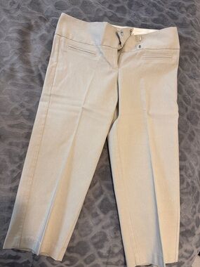 Studio Y Satin-Lined Light Beige Dress Pants